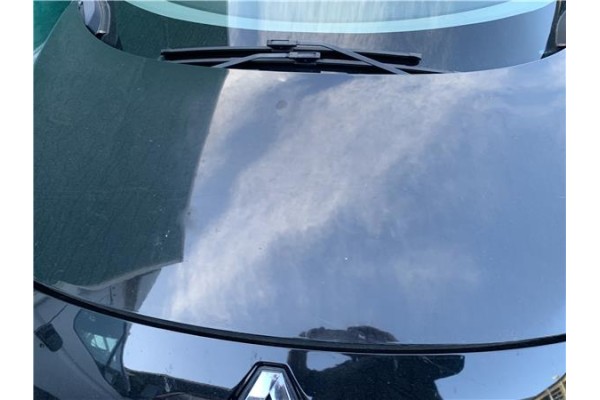 Recambio de capo para renault grand scénic iii (jz0/1_) 1.5 dci referencia OEM IAM 651009018R  