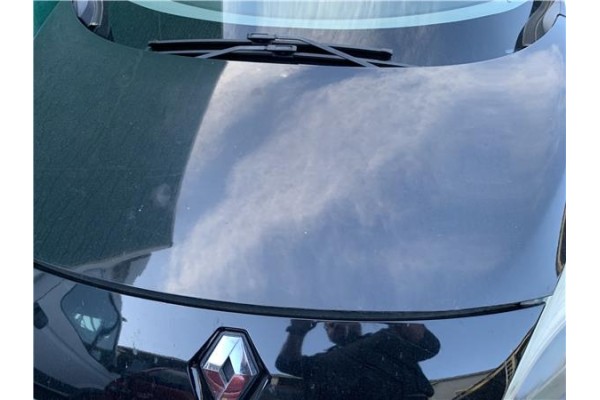 Recambio de capo para renault grand scénic iii (jz0/1_) 1.5 dci referencia OEM IAM 651009018R  