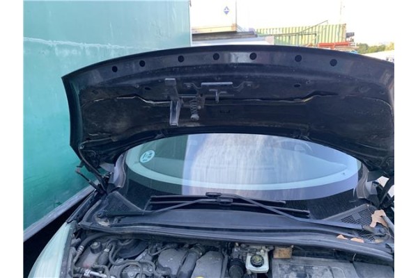 Recambio de capo para renault grand scénic iii (jz0/1_) 1.5 dci referencia OEM IAM 651009018R  