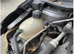 BOTELLA EXPANSION 217104354R 217107259R 