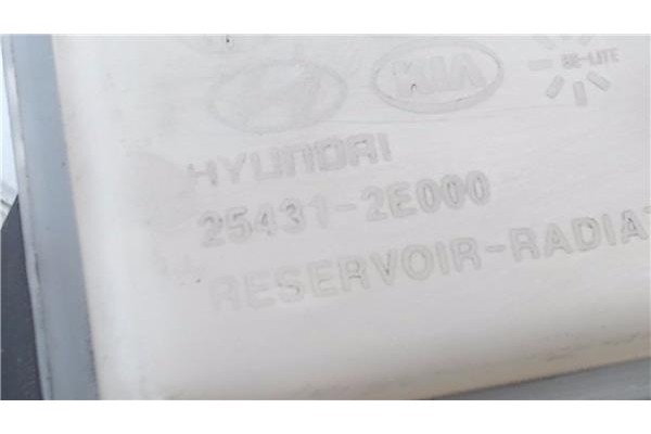 Recambio de botella expansion para hyundai tucson (jm) 2.0 referencia OEM IAM 254312E000  