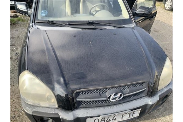 Recambio de capo para hyundai tucson (jm) 2.0 referencia OEM IAM 664002E020  