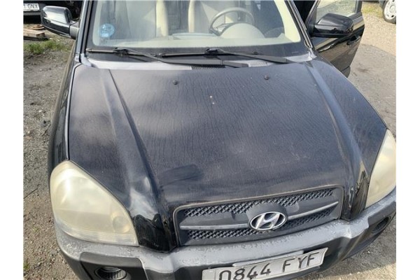 Recambio de capo para hyundai tucson (jm) 2.0 referencia OEM IAM 664002E020  