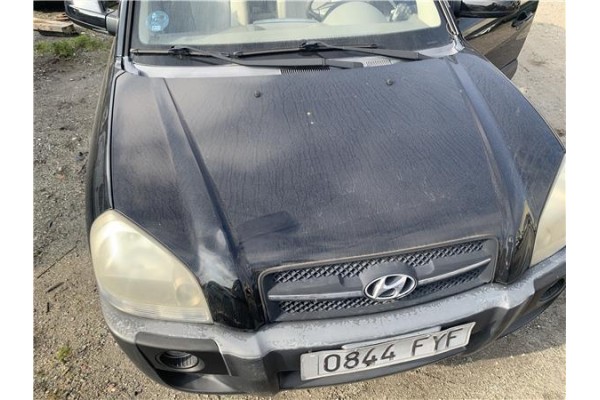 Recambio de capo para hyundai tucson (jm) 2.0 referencia OEM IAM 664002E020  