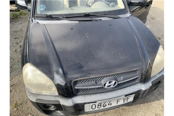 Recambio de capo para hyundai tucson (jm) 2.0 referencia OEM IAM 664002E020  