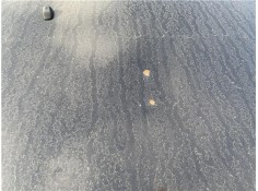 Recambio de capo para hyundai tucson (jm) 2.0 referencia OEM IAM 664002E020  