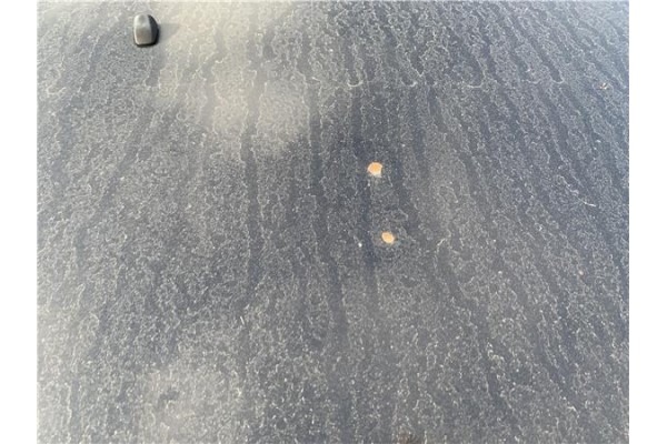 Recambio de capo para hyundai tucson (jm) 2.0 referencia OEM IAM 664002E020  