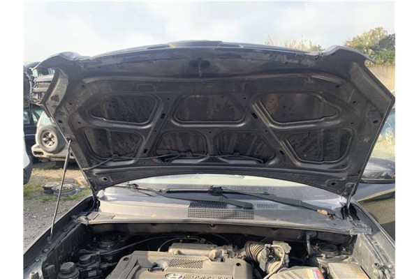 Recambio de capo para hyundai tucson (jm) 2.0 referencia OEM IAM 664002E020  