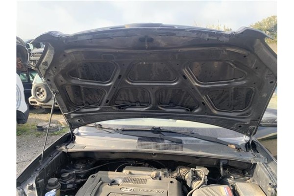 Recambio de capo para hyundai tucson (jm) 2.0 referencia OEM IAM 664002E020  