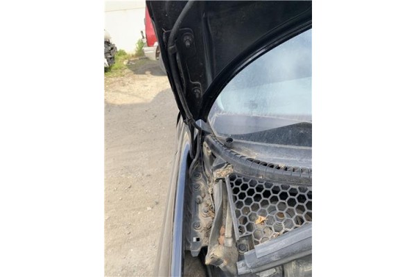 Recambio de bisagra capo derecha para peugeot 207 cc cabrio-coupé 1.6 básico referencia OEM IAM 791298  