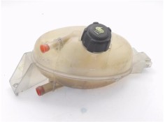 BOTELLA EXPANSION 217100015R 