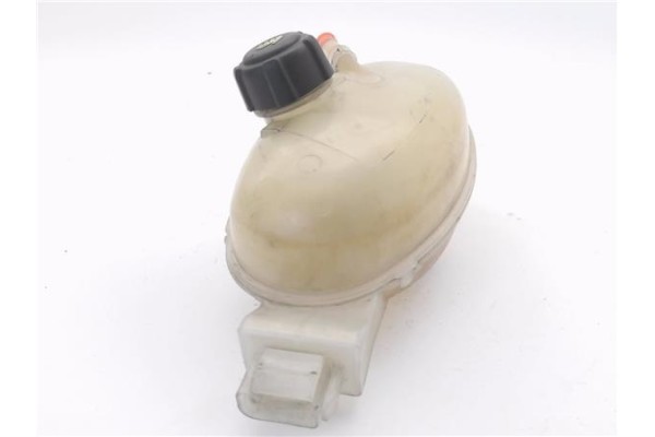 Recambio de botella expansion para renault master iii combi 2.3 l2h2 3,5t referencia OEM IAM 217100015R  