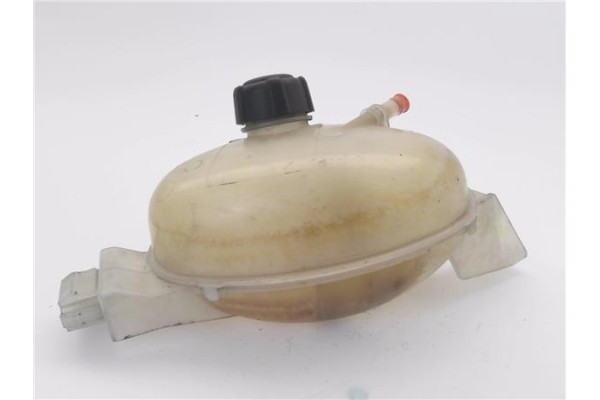 Recambio de botella expansion para renault master iii combi 2.3 l2h2 3,5t referencia OEM IAM 217100015R  