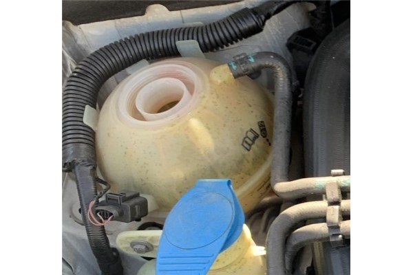 Recambio de botella expansion para seat altea (5p1) 1.9 tdi referencia OEM IAM 1K0121407A  
