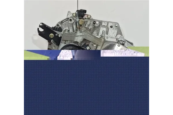 Recambio de puerta trasero derecha carga acristalada para peugeot expert furgón 2.0 furgón l1h1 referencia OEM IAM 8703C7  