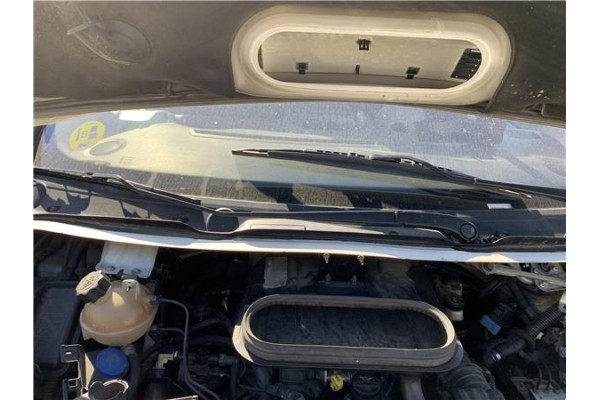 Recambio de brazo limpiaparabrisas delantero derecho para peugeot expert furgón 2.0 furgón l1h1 referencia OEM IAM 6429CN  