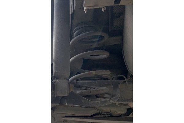 Recambio de muelle amortiguacion para renault clio iii 1.5 dci (br17, cr17) referencia OEM IAM 8200819803  