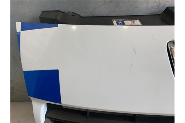 Recambio de rejilla capo para peugeot expert furgón 2.0 furgón l1h1 referencia OEM IAM 1497644077  