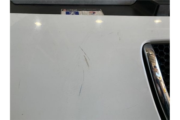 Recambio de rejilla capo para peugeot expert furgón 2.0 furgón l1h1 referencia OEM IAM 1497644077  