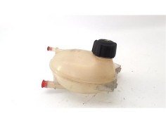 BOTELLA EXPANSION 217107259R 217107259R 