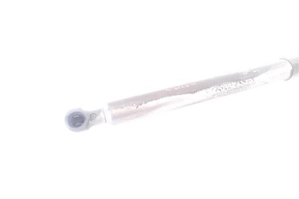 Recambio de amortiguador capo para renault clio iv 1.5 business referencia OEM IAM 654703934R 7000210535D0 