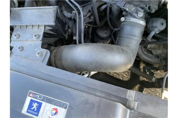 Recambio de tubo intercooler para peugeot expert furgón 2.0 furgón l1h1 referencia OEM IAM 382GZ  