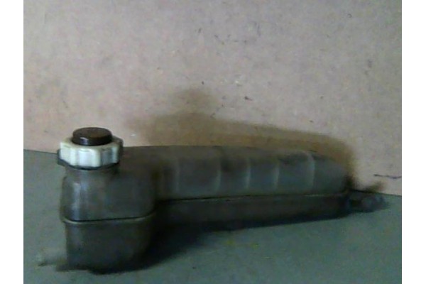 Recambio de botella expansion para renault clio iii 1.2 16v expression referencia OEM IAM   