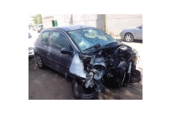 peugeot 206 del año 2005