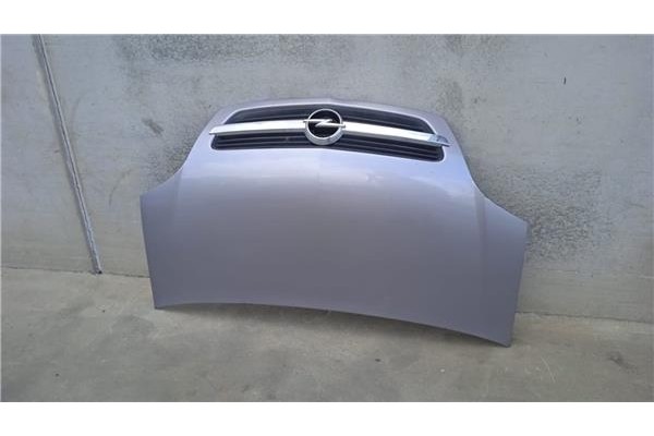 Recambio de capo para opel meriva 1.3 cdti referencia OEM IAM 1160006  