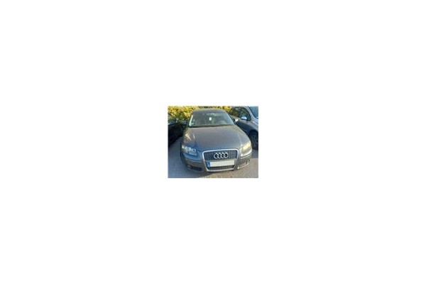 Recambio de puerta delantero derecha para audi a3 sportback (8pa) 1.9 tdi ambiente referencia OEM IAM 8P4831052A  