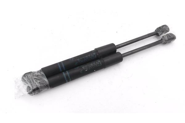 Recambio de amortiguador capo para bmw serie 1 berlina 5p (f20) 2.0 116d referencia OEM IAM 5123723923306 2485700610N 