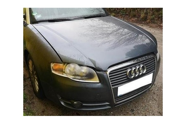 Recambio de motor completo para audi a4 cabriolet (8h) 2.0 tdi referencia OEM IAM BPW BPW 