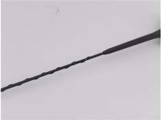 Recambio de antena electrica para citroen c5 tourer 2.0 business class referencia OEM IAM 9655613780 8162080109 