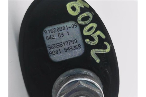 Recambio de antena electrica para citroen c5 tourer 2.0 business class referencia OEM IAM 9655613780 8162080109 
