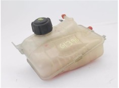 BOTELLA EXPANSION 217100005R 