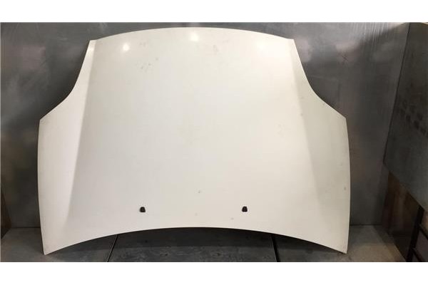 Recambio de capo para fiat bravo ii (198)(2007) 1.9 d multijet referencia OEM IAM   