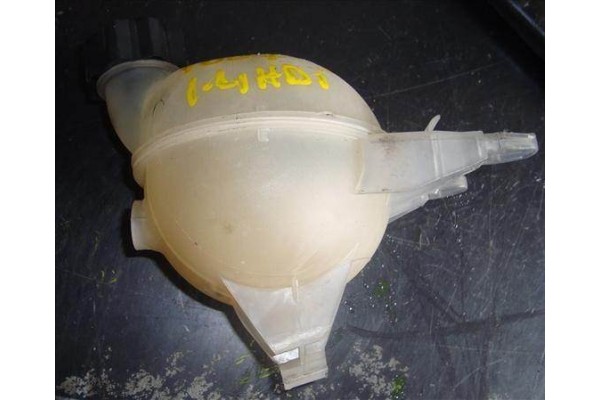 Recambio de botella expansion para peugeot 1007 (2005) 1.4 dolce [1,4 ltr. - 50 kw hdi] referencia OEM IAM   