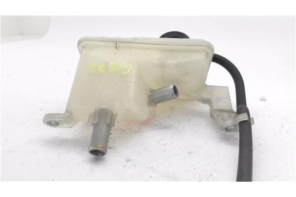 Recambio de botella expansion para lexus rx (mcu_) 400h referencia OEM IAM   