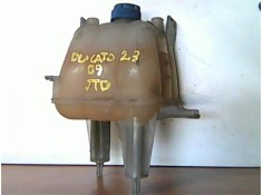 BOTELLA EXPANSION 1358583080 