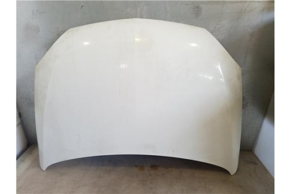 Recambio de capo para opel combo furgón/ranchera familiar 1.3 cdti 16v referencia OEM IAM 1160248  