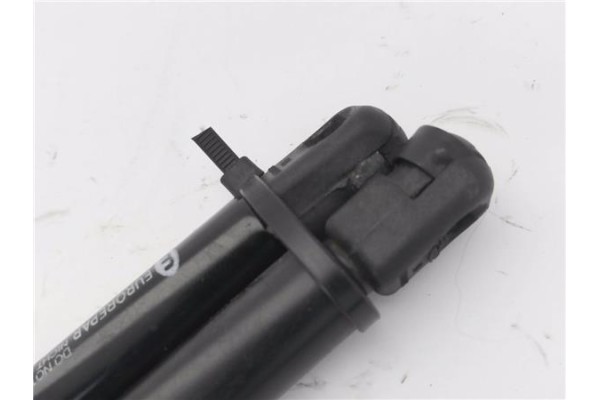 Recambio de amortiguador porton para citroen c4 coupe 1.6 hdi referencia OEM IAM 3012019  