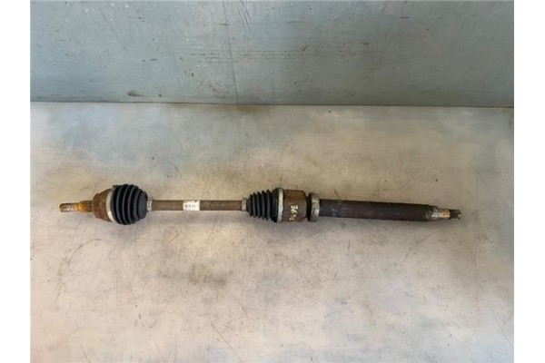 Recambio de palier delantero derecho para ford focus berlina (cew) 1.0 business referencia OEM IAM BV613B436TB  