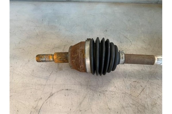 Recambio de palier delantero derecho para ford focus berlina (cew) 1.0 business referencia OEM IAM BV613B436TB  
