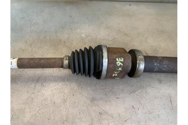 Recambio de palier delantero derecho para ford focus berlina (cew) 1.0 business referencia OEM IAM BV613B436TB  