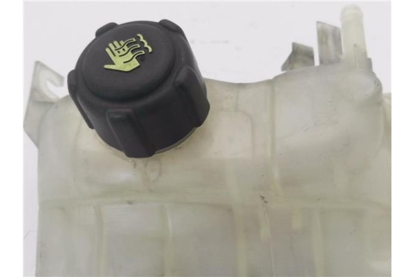 Recambio de botella expansion para renault grand scénic iii (jz0/1_) 1.5 dci referencia OEM IAM 217100005R  