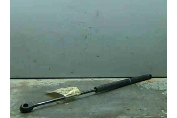 Recambio de amortiguador porton para citroen c2 (2003) 1.4 hdi referencia OEM IAM   