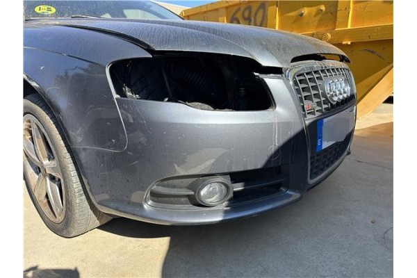 Recambio de paragolpes delantero para audi a4 berlina (8e) 2.0 tdi (dpf) (125kw) referencia OEM IAM 8E0807105E  