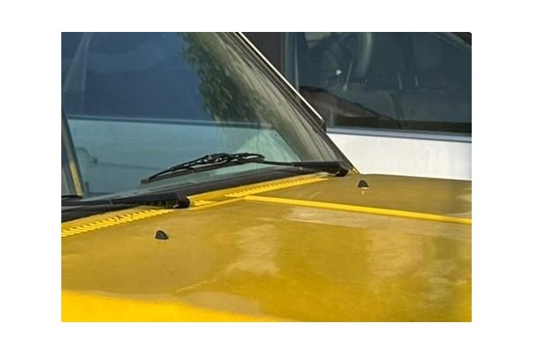 Recambio de brazo limpiaparabrisas delantero izquierdo para nissan patrol (k/w260) 2.8 d referencia OEM IAM   