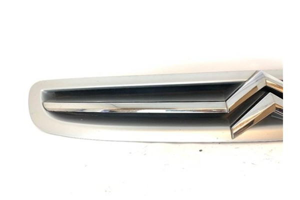Recambio de rejilla capo para citroen xsara picasso 1.6 referencia OEM IAM 9650059377  