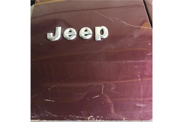 Recambio de porton trasero para jeep grand cherokee (zj/z) 4.0 laredo (z) referencia OEM IAM   